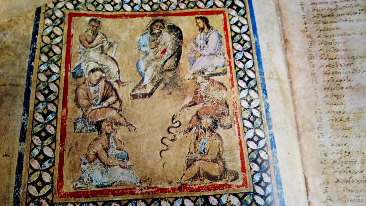 In Dioscurides 7 physicians