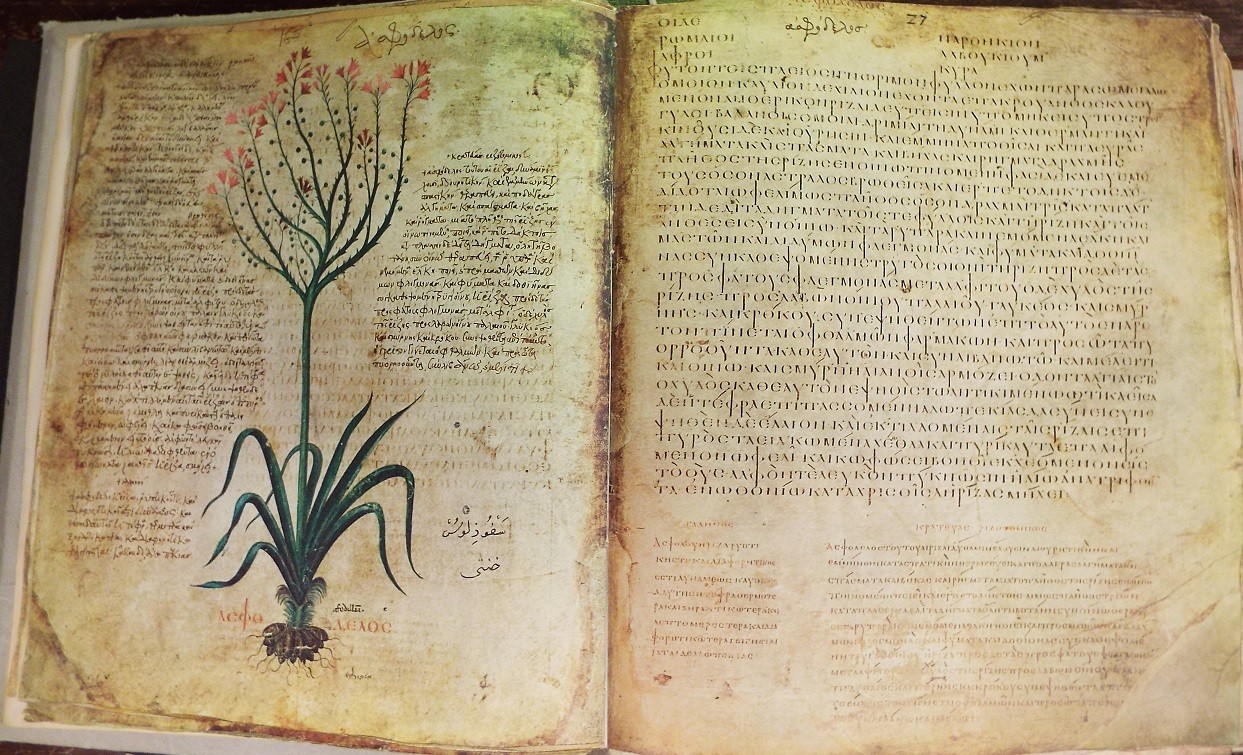 Scripts in the Dioscurides manuscript