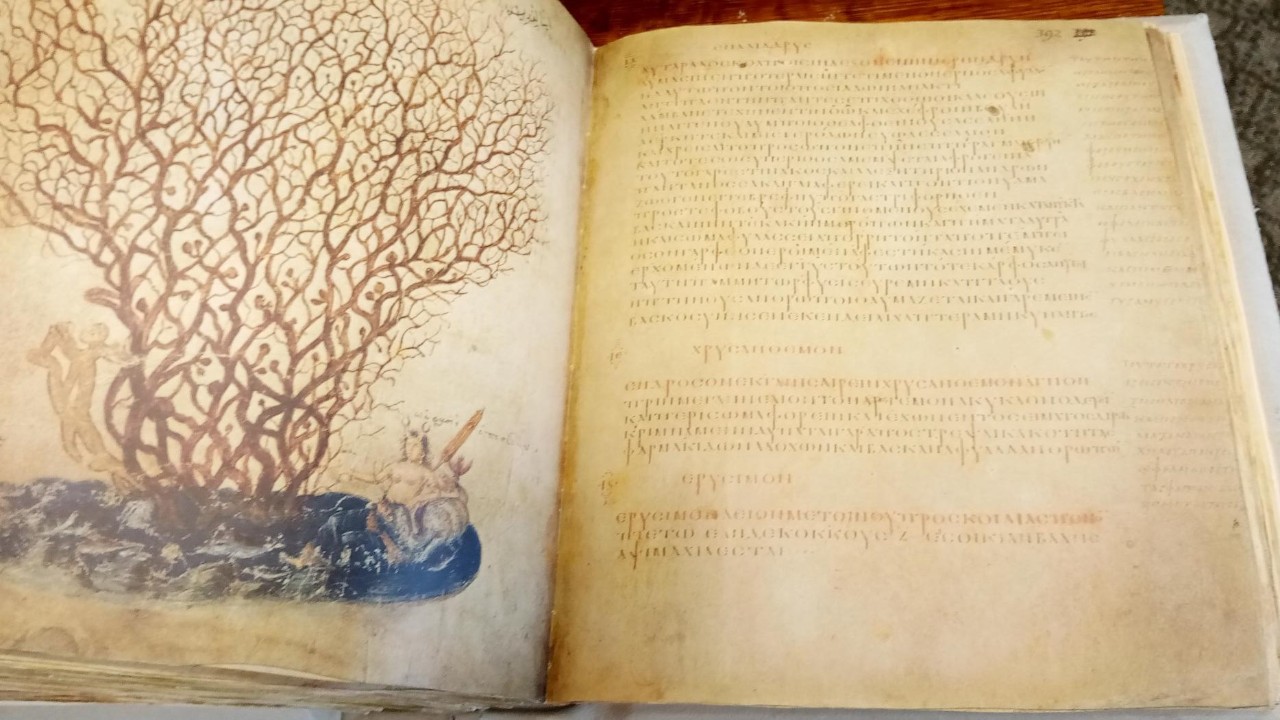 In Dioscurides a poem by Rufus of Ephesus